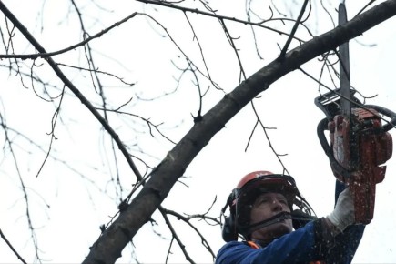 ��� ������ ������ ������� �������� �������� � ���� �