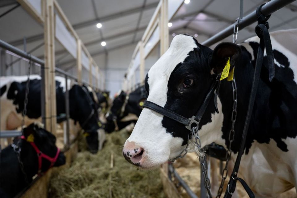 1 � ����������� ��������� ���������������� �������� ��������� ��������� ����� 10 ����� ���� ������ � ���