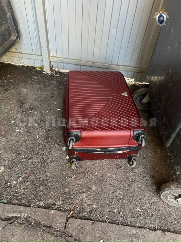 Сожитель убил и расчленил женщину в Подмосковье — изверг попытался замести следы и убрал части тела в два чемодана