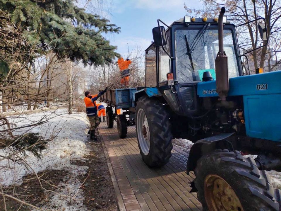 Юлия Купецкая: Весна – время наведения порядка