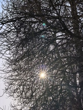 ������ ����������, � ������ ����������