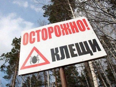 ���� �����: � ������������ ����� �������� ����� ������