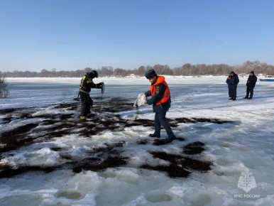 � ������ ������ ����������� ���������������� �����������