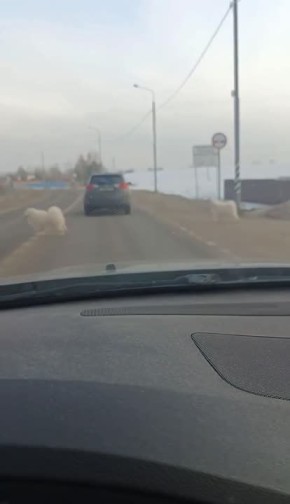 ����������� ����� � ���������� ������������� �� ������������ ������