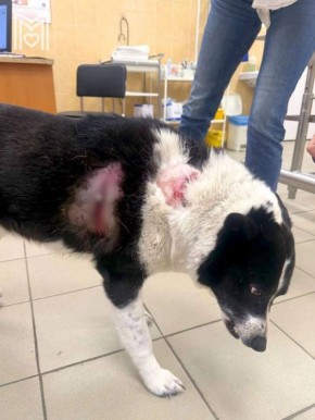 ���������, � ����� ������� ������� ������ ��������� ���������! ����� ������ �� �������� � ����� ��������, ���� ����� ���������� ���� ��� ��������