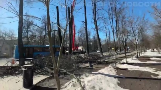 � ������ ���������� ����������� �������� �������� ��������