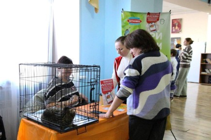 � ��������� ���������� ������ �������� �� ��������� ��������� �����