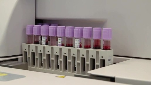 ������� ��������: ������� ������� ������� �������� � ����������� � ���������� ���������������� ����� � ����������� ������ ������ - ����� �������-��������������� ����������� ������� ������������ ����������