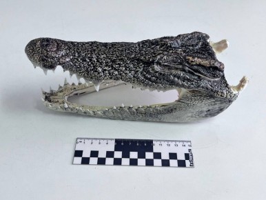 ��������� ������� ������ ������ ���������� �� ��������