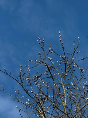 ������ ��������������, �����������!