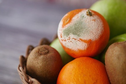 ������� �������������: ��� �� ����� ������� ��������