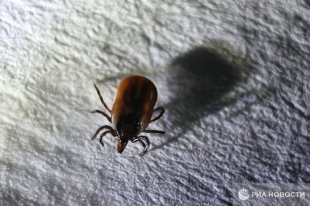 "�������������� ������������ �������������"