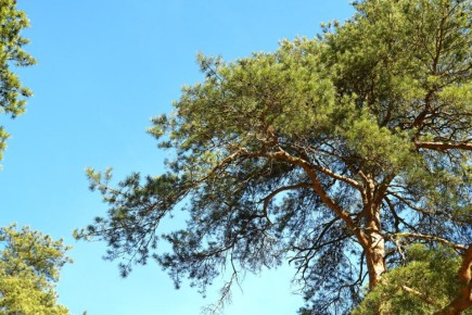 В мире нет рецепта лучше — будь со спортом неразлучен