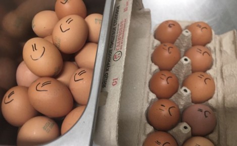 Яйца без заговоров: взгляд повара на маркировку С0 и С1