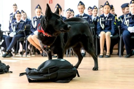 ������ ����� � 18 ��. ���������� ��������� ������������� � ������� ����������