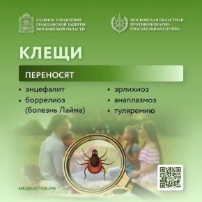 Как защититься от клещей. С начала 2026 года в 19 регионах России зарегистрировано около ста обращений пострадавших от укусов клещей — это на 1,5 раза меньше, чем в 2025 году