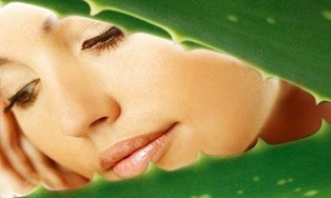 ����������� ������ ����� �� ���������� �����: ��� �����������?