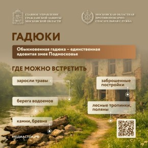 � ����������� ���� ������ ����������� ����� ������