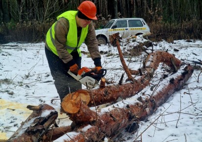 ����� 1,5 ���. ��������� �������� ��������� � ����� ����������� � ������ ����