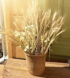 ������ ����, ��������!. ������� ���� �� +10�C, ���������� ����������, �������� ������ ��� ��������