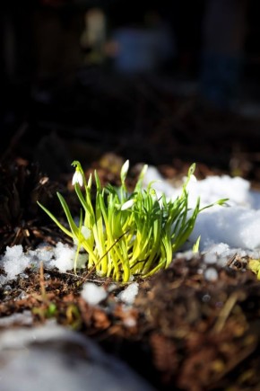 ������ ����, ���������!. �������� �� ��������� ����, �� ����� �����, � ���� �� +13�! ������ ��� ������� ���������� � ������������� ���