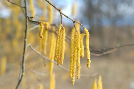 ����� �������. ������ 28 �����: