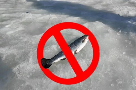 �������� ���������: � ����������� �������� ������ �� ����� ���� � ������ �������