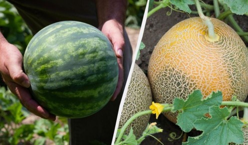 ��� ����������, ����� ���� �������� ������ � ���� � ������