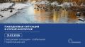 Паводок в Солнечногорске 31 марта: стабильно