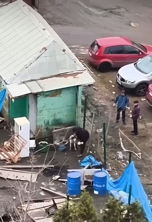 ��� � ������� ������: � �������� ������� ������� ����� �� ������ ��������