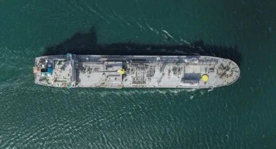 � ������ ��������� ����� Flora-1, �������� �� ����������� ����� ����-����, �� ���������� � ������������� ������������