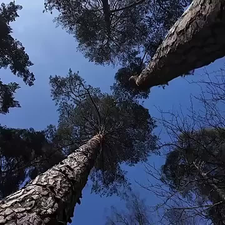 ������ ������: � ����� ��������� ���� ������������� ����� ��������� ������� � ���������������!