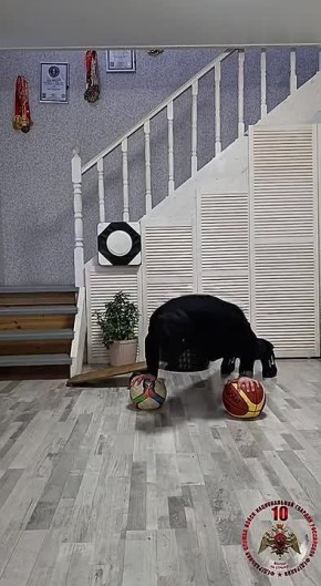 Умение удерживать равновесие важно не только в спорте, но и в повседневной жизни