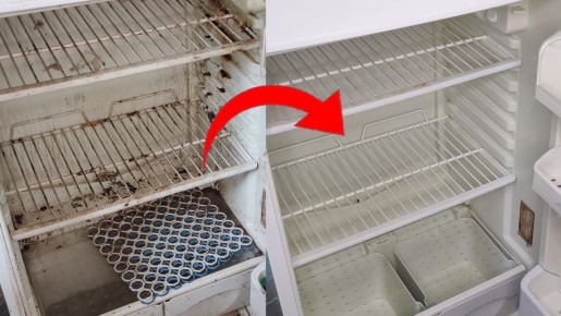 Идеальная чистота вашего холодильника: секреты блестящего результата