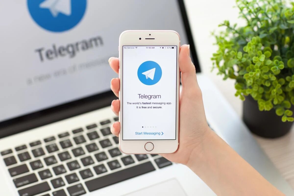 Как освежить Telegram: простые шаги для оптимизации работы мессенджера