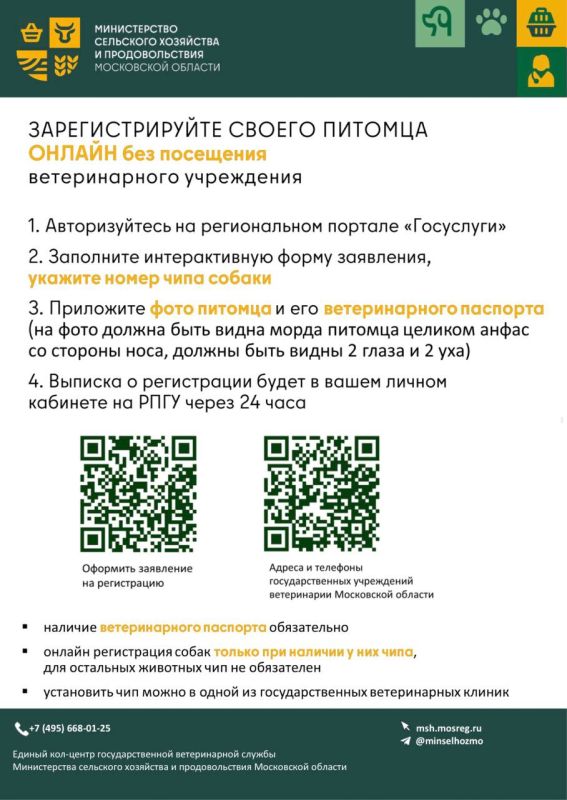 ������������ ��������� ��������� � �������������� ���������� ������� ����������� � ���, ��� ���������������� ������ ������� ����� ������