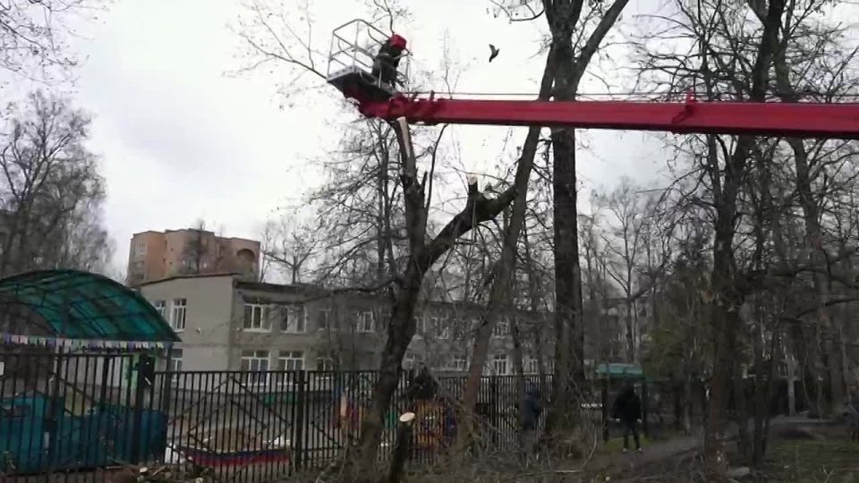 ������ ���� ������� ������� � ��������-��������� ������