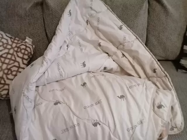 Как правильно стирать одеяла из верблюжьей шерсти: секреты ухода за натуральным материалом