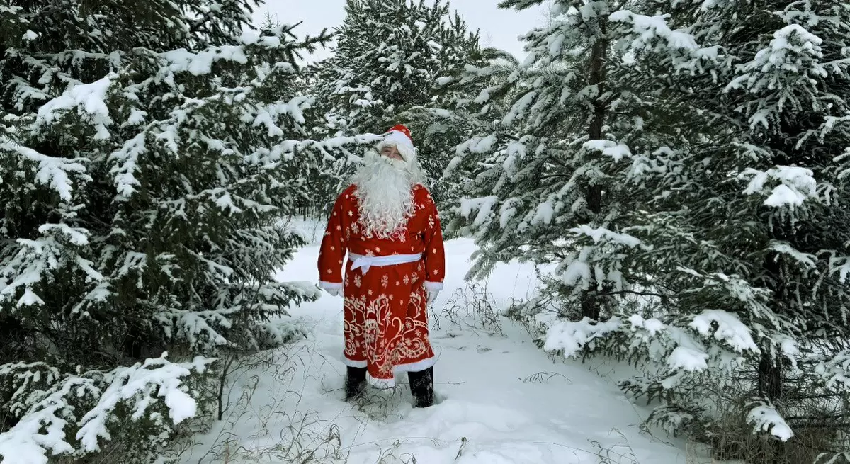 Письмо Деду Морозу: Как вернуть волшебство в повседневную жизнь