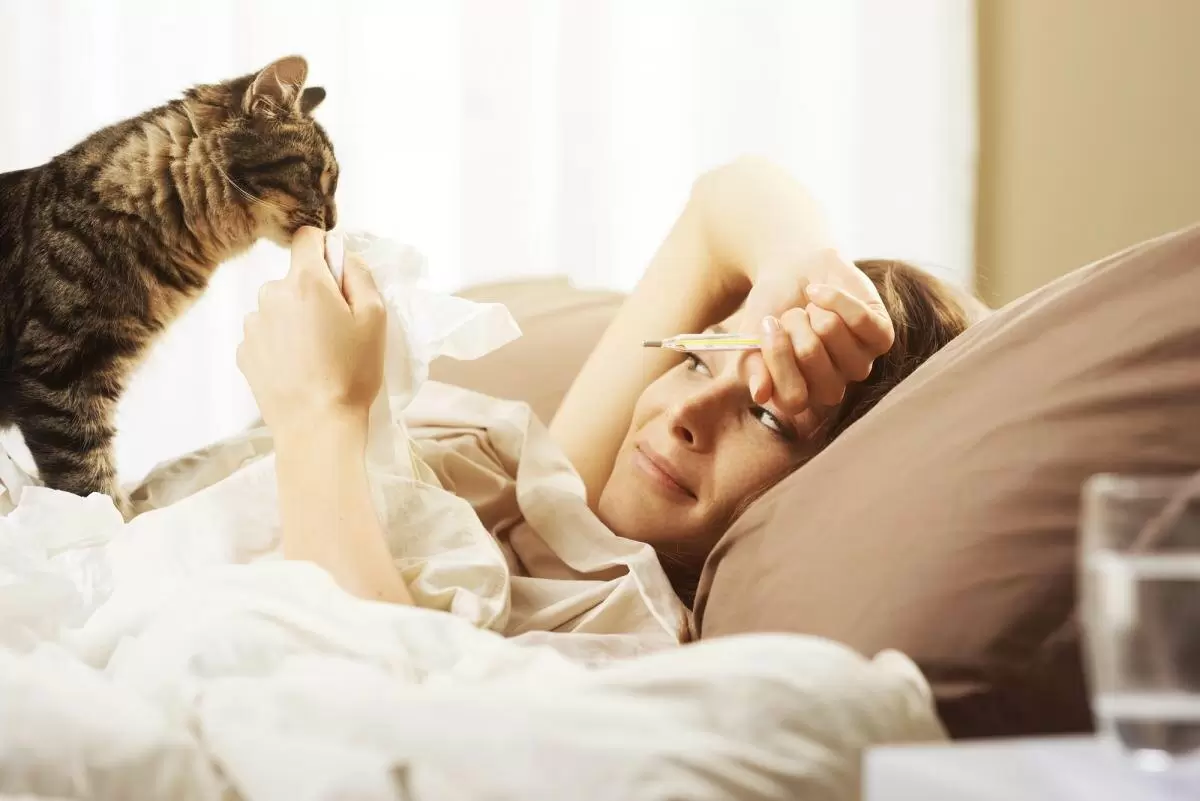 Как кошки распознают болезни: удивительные истории и научное мнение