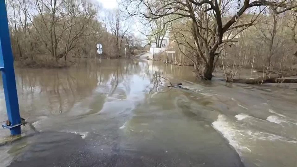 ���������� �������� � ���������� �� 13 ������