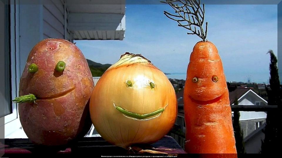 ������� �������� ������ ������
