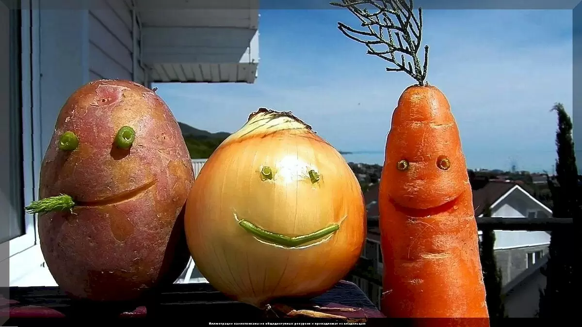 Секреты хранения вашего урожая