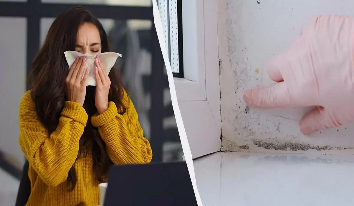 Эффективные методы борьбы с плесенью: как избавиться от грибка за считанные часы