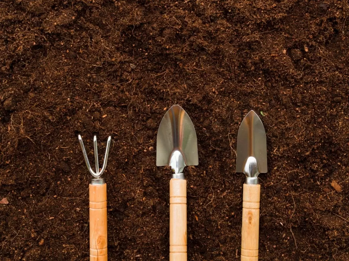 Как уксус помогает вернуть почве жизнь: секреты дезинфекции для успешного урожая