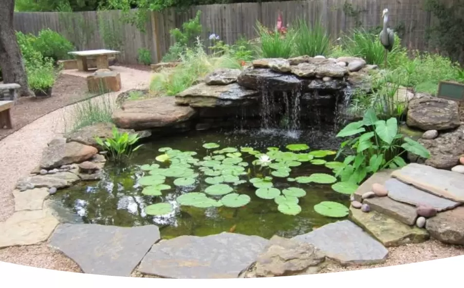 Как создать идеальный пруд на даче: простые советы для начинающих