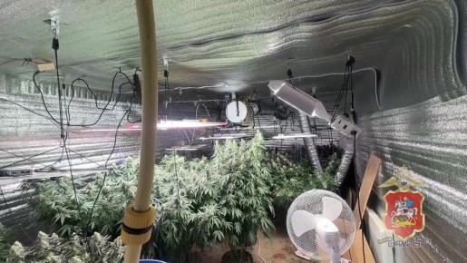 � ������������ ������ ������� ������ � ��������-�������� ������ ������ � �������� � ���������