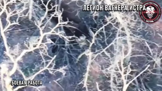 Татьяна Витушева: Эксклюзив! Отличная работа «музыкантов» из «Легиона Вагнера Истра» по захвату в плен противника