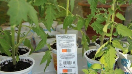 �������� �������: ������ ����� ��������, � ������� ����� �����