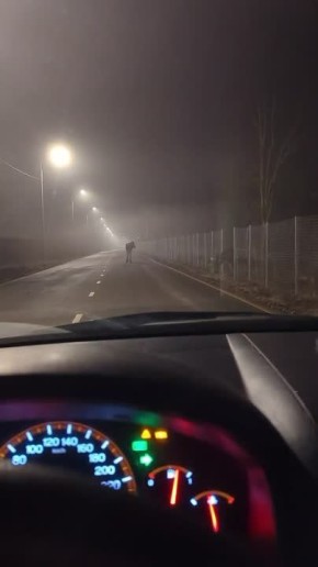 � ���� ��������� �����, ��� ���� ����������� ���� �������� � �������� �������� ������ �� ������ � �����������